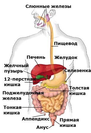 - 